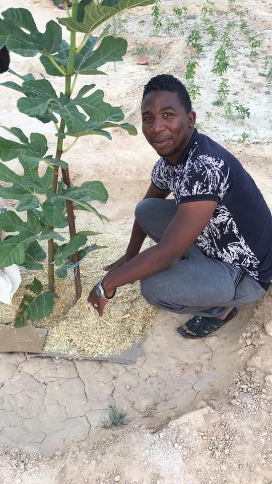 Entretien des jardins