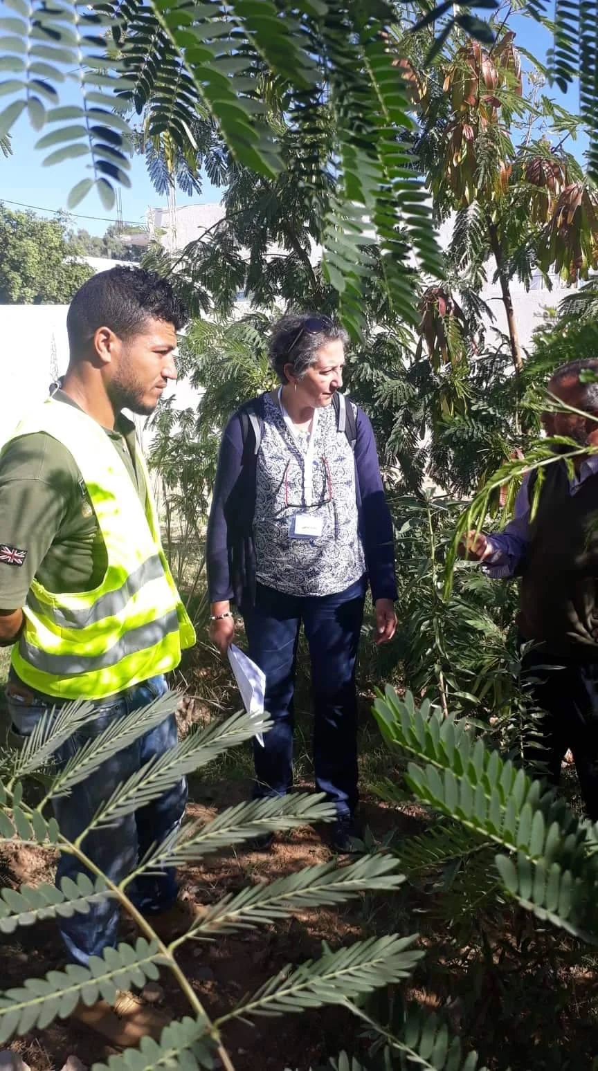 Équipe de bénévoles travaillant ensemble pour restaurer les oasis de Mareth, novembre 2018