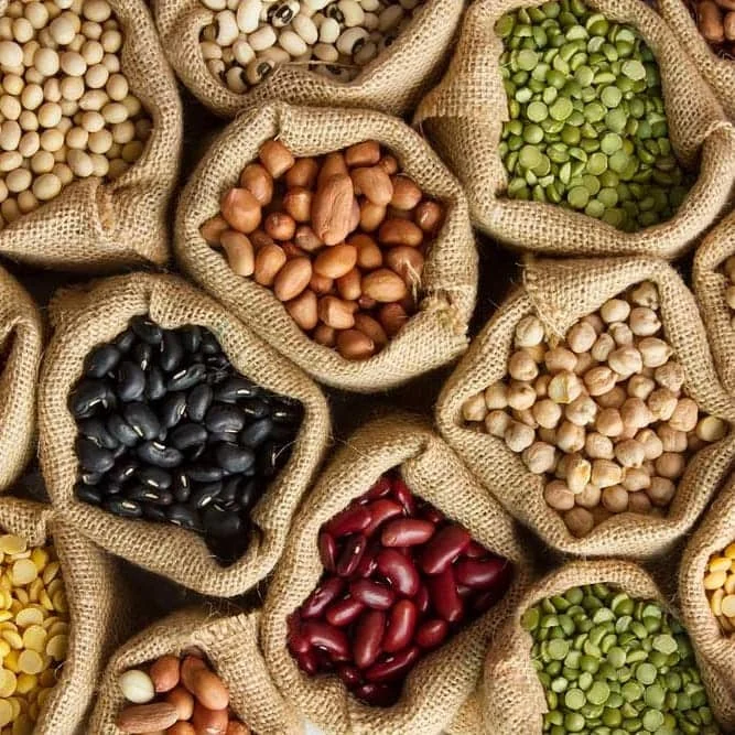 Collecte des Semences Locales