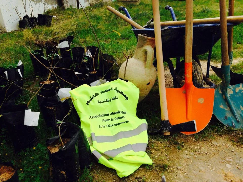 Oasis-Forêts de Mareth