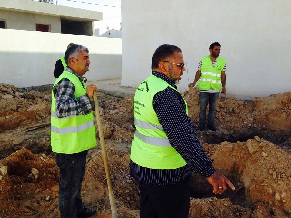 Plantation des arbres